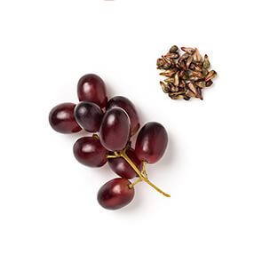 Pépins de raisin