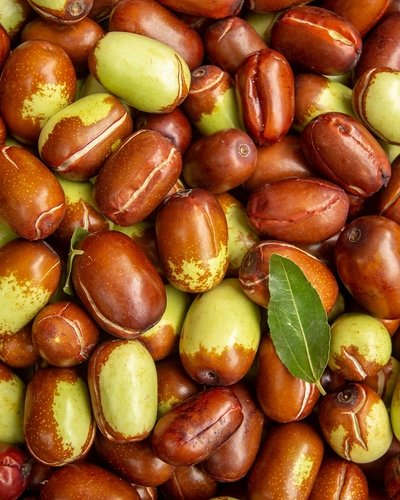 L'huile de jojoba
