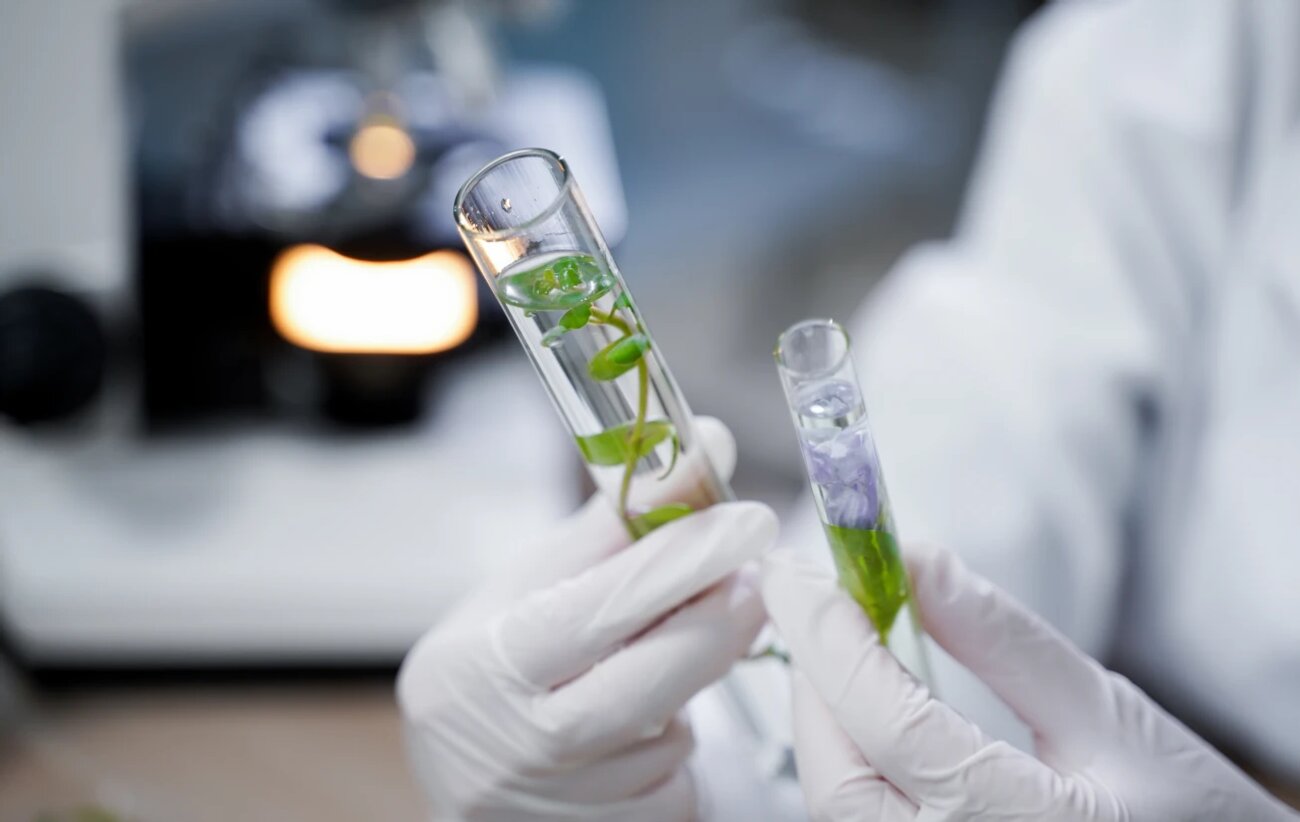Laboratoire