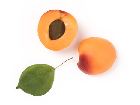 Apricot