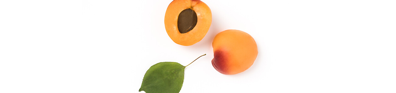 Apricot