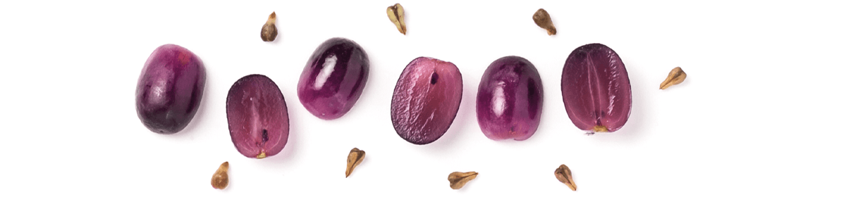 Pépins de raisin