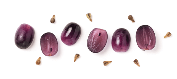 Éclat jeunesse raisin